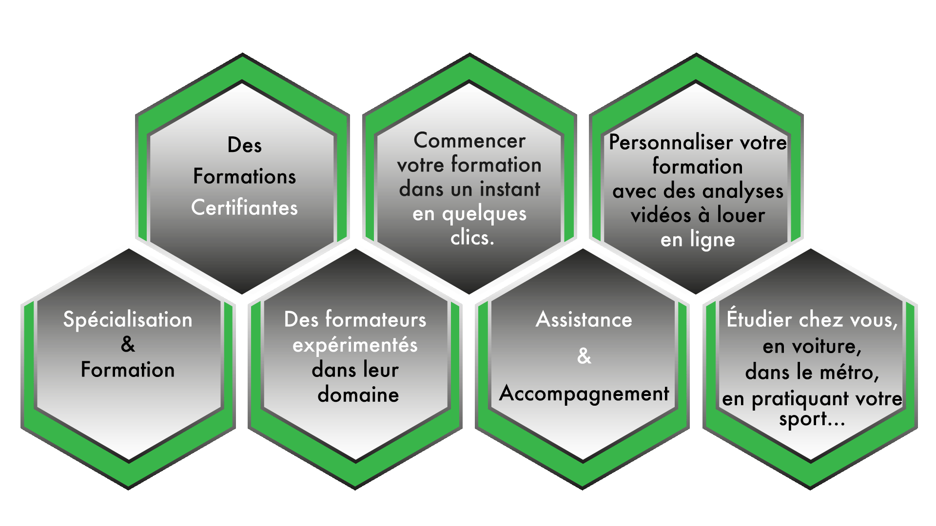 Profil Humain Accueil - Profil Humain Academie
